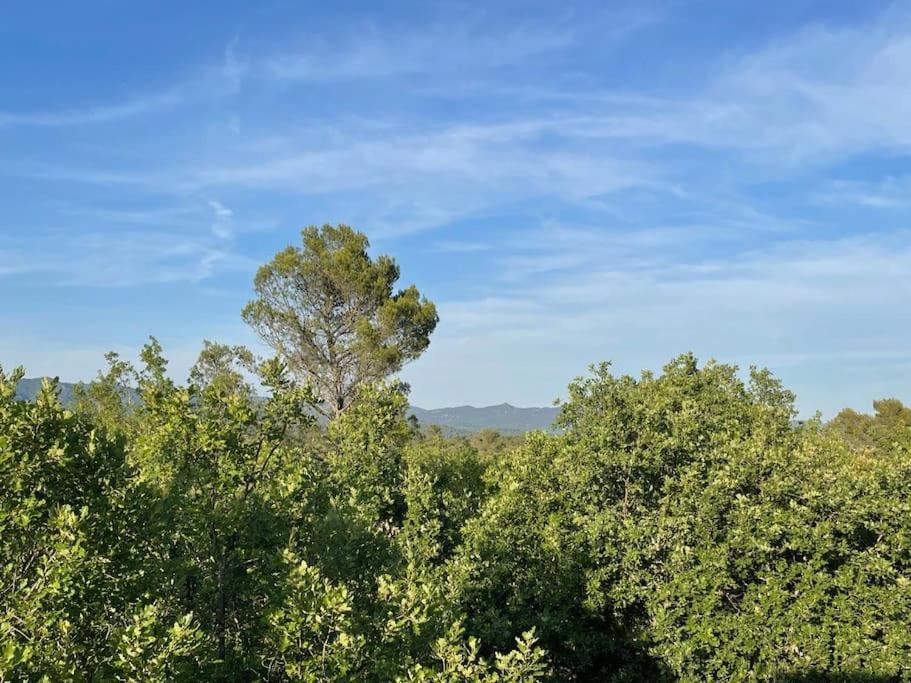 Villa Piscine - Gorges Du Verdon, Lac De Sainte-Croix Régusse Exteriér fotografie