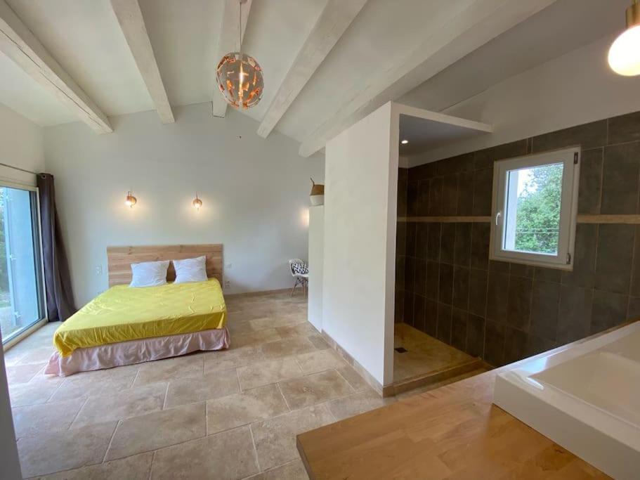 Villa Piscine - Gorges Du Verdon, Lac De Sainte-Croix Régusse Exteriér fotografie