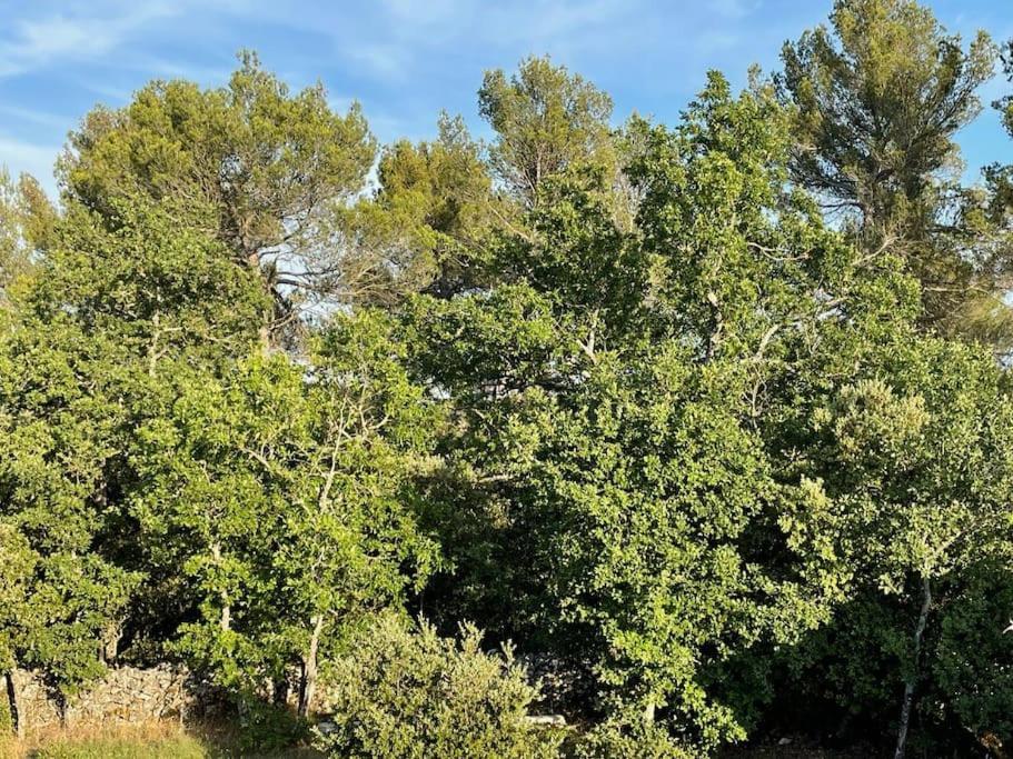 Villa Piscine - Gorges Du Verdon, Lac De Sainte-Croix Régusse Exteriér fotografie